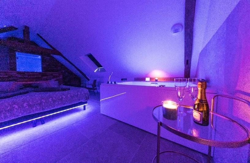 L'Evasion-Spa-Hammam-Sauna Illimite - 2 A 4 Pers Сен-Сир-сюр-Лоар Екстериор снимка